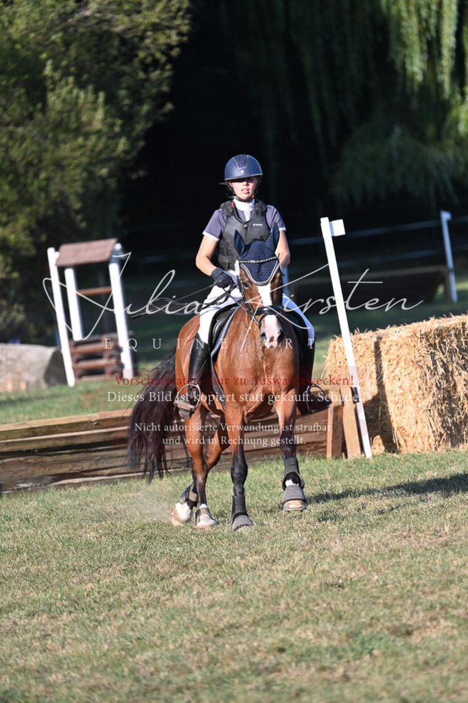 DSC_9097 | Pferde- und Turnierfotografie in Westsachsen. Pferdeportraits, Auftragszeichnungen und intuitive Kunst.