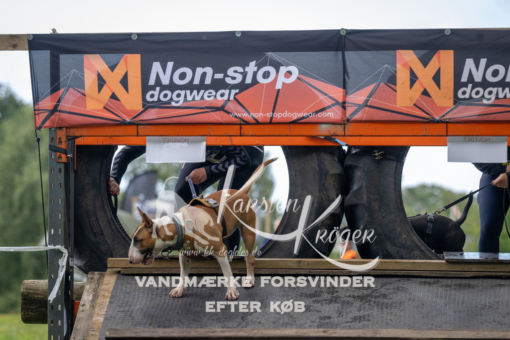 1034_ZZ91296 | kk-dogfotos