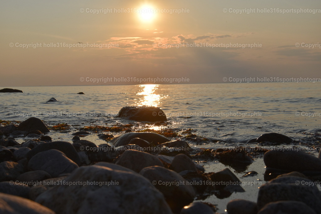 DSC_0069 | Sportfotografie , Motorsport, Motoross, Reitsport, Mointainbike, Enduro,
Landschaft , Outdoor, Eventfotografie, Landschaft, Bilder online bestellen - Realisiert mit Pictrs.com