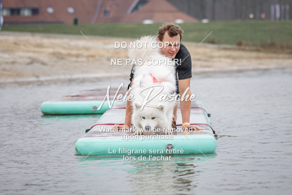 nelerasche_Hulsbeek_Sa1030-1100_329 | nelerasche