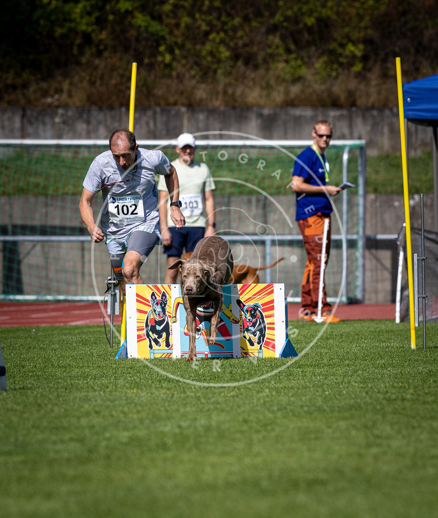 Pfotenfotografie_DV3A8029 | Hundefotografie, Tierfotograf, Pfotenfotografie, Fotoshooting Hund, Hunde Portrait, Hundesport, Hundeportraits, Heideshooting, Hunde, Sportfotograf, Hundefotograf, Turnierhundsport, THS,  - Realisiert mit Pictrs.com