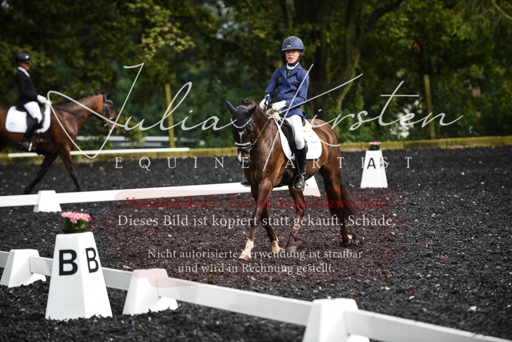 DSC_2977 | Pferde- und Turnierfotografie in Westsachsen. Pferdeportraits, Auftragszeichnungen und intuitive Kunst.