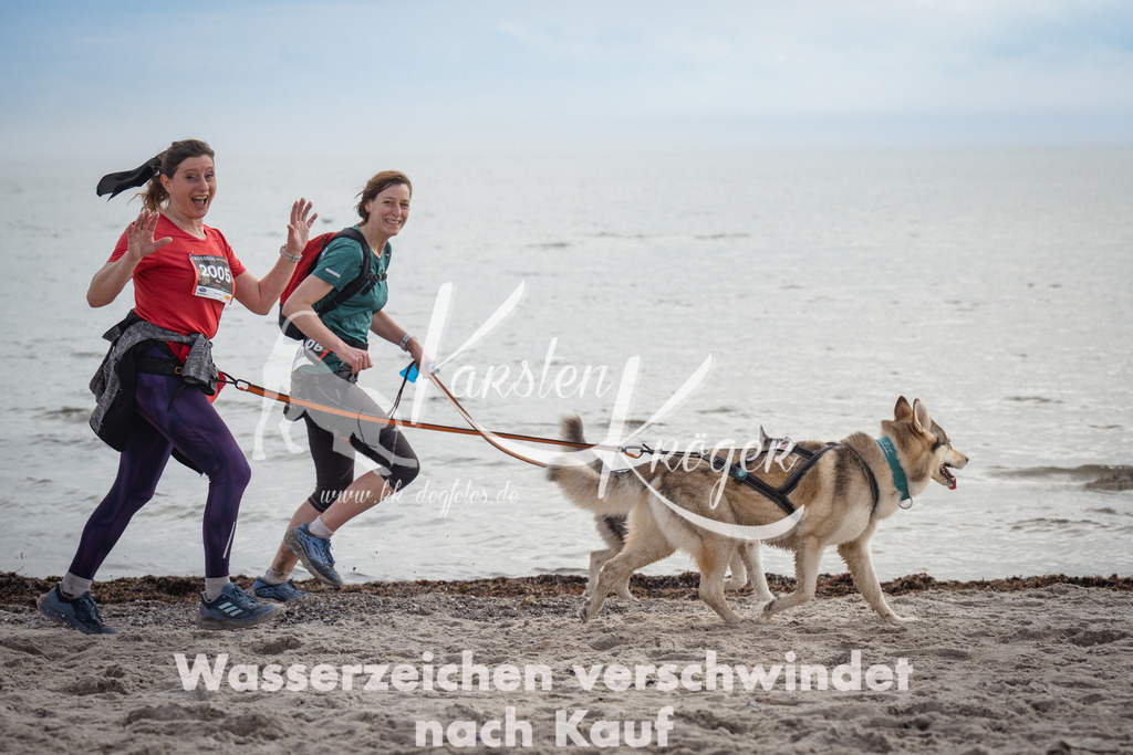 1156_ZZ92845 | kk-dogfotos