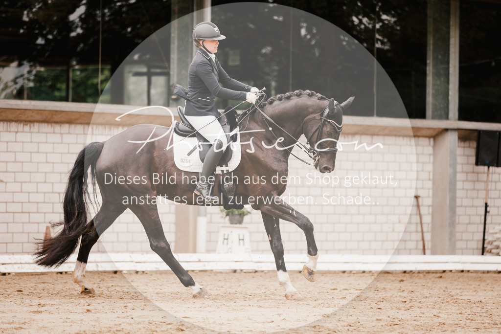 3I6A7724 | Stimmungsvolle Portraits und Reitsportfotografie im Ruhrgebiet und im Münsterland.

Pferdefotografie, Hundefotografie, Tierfotografie, Reportagen, Portraits von Tier und Mensch, Turnierfotografie in Bochum, Recklinghausen, Marl, Haltern am See, Dülmen.. - Realisiert mit Pictrs.com