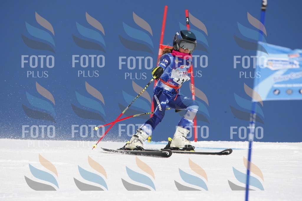 _W1G1704 | holidayphoto