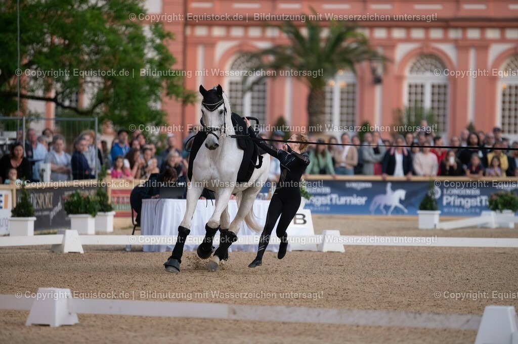 20230527_Voltigieren_NASPA_Flutlicht_0076 | equistock