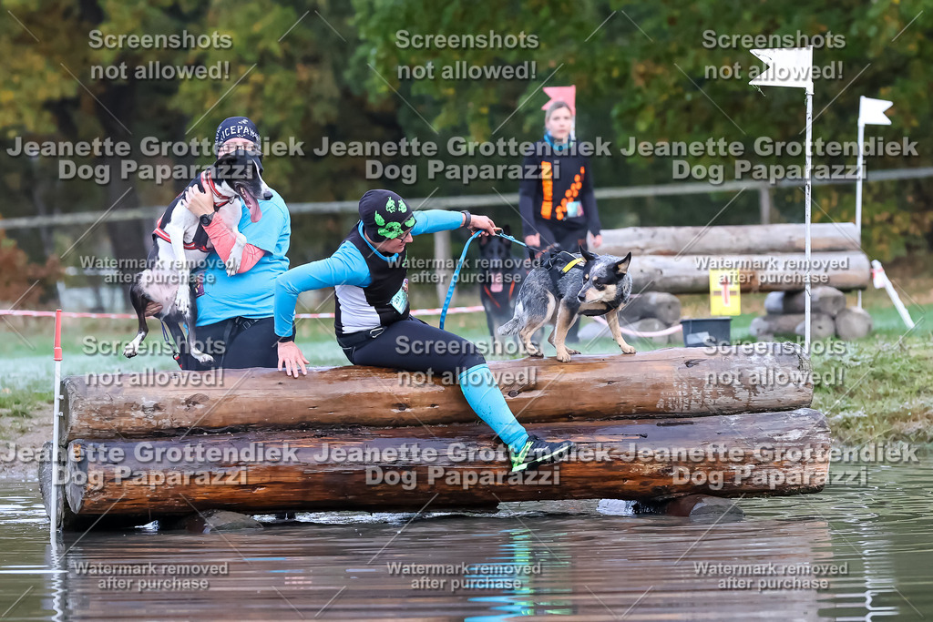 Dog Paparazzi - Strongdog 10-25-6249 | Dog Paparazzi Jeanette Grottendiek Fotografie & Videografie - Realisiert mit Pictrs.com