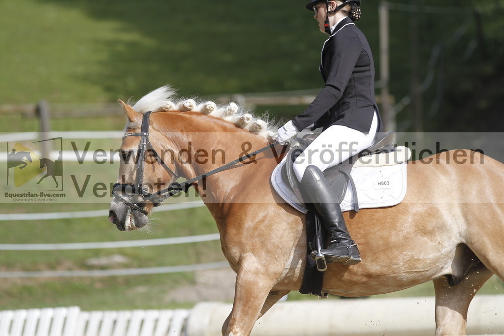 _MG_0339 | equestrian-live-com