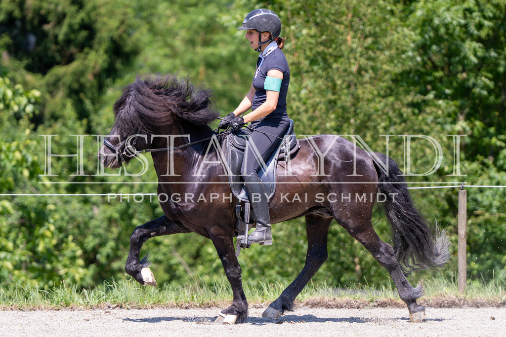 KAI04488 | Ihr sucht einen Fotografen für eure nächste OSI? Ich begleite auch euer Turnier für Islandpferde fotografisch.  - Realisiert mit Pictrs.com