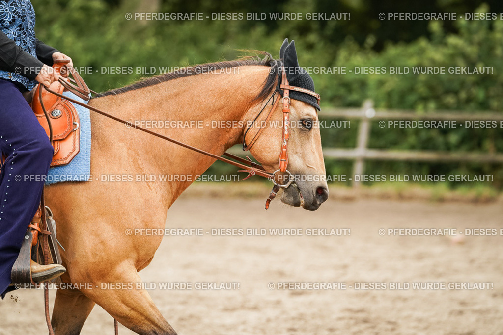 DSC08624 | Pferdegrafie