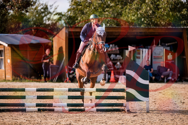 2026_10_03_Siefer-Hof_160637_Z81_88352901 | Professionelle Reitsport-, Turnier- und Eventfotografie von Robert Broda. Galerien mit ausgewählten und bearbeiteten Bildern direkt online ansehen und bestellen.