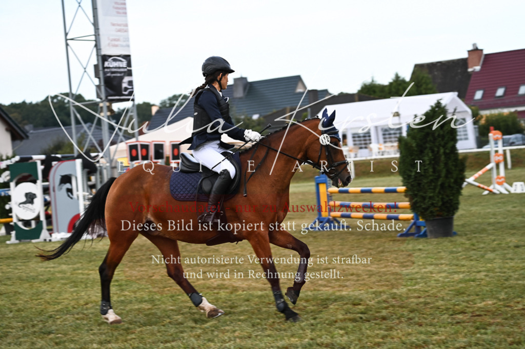 DSC_5493 | Pferde- und Turnierfotografie in Westsachsen. Pferdeportraits, Auftragszeichnungen und intuitive Kunst.