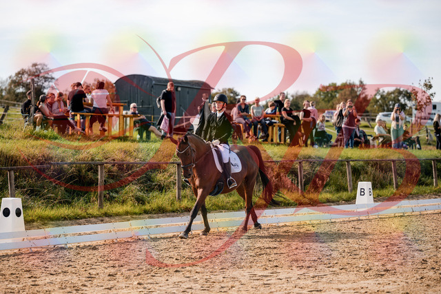 2026_10_03_Siefer-Hof_131049_Z63_74279683 | Professionelle Reitsport-, Turnier- und Eventfotografie von Robert Broda. Galerien mit ausgewählten und bearbeiteten Bildern direkt online ansehen und bestellen.