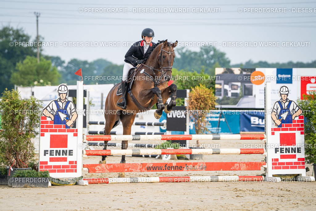 DSC07864 | Pferdegrafie