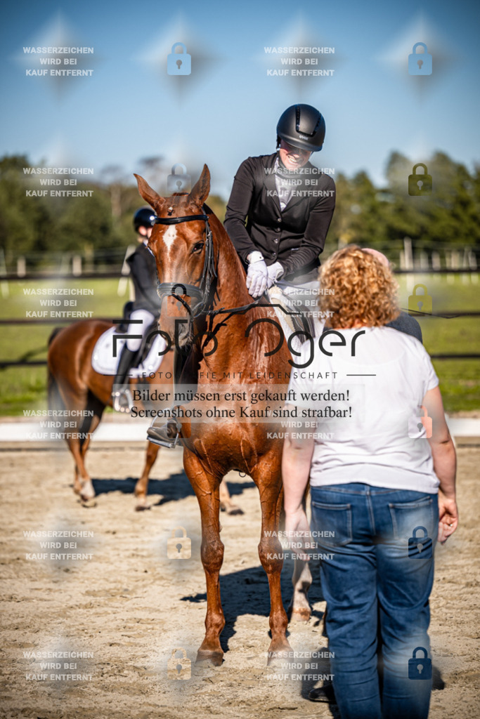 2026-09-Lohne-11-0021 | Entdecke hochwertige Reitturnierfotos von Foto Oger. Professionell, emotional und authentisch – jetzt Lieblingsmomente im Shop bestellen.Deutschlandweite Turnierfotografie. - Realisiert mit Pictrs.com