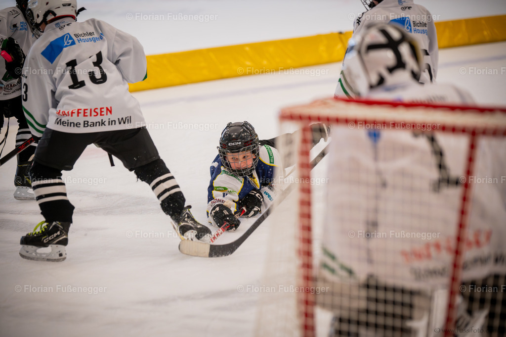 DSC_1683 | "Fussifoto.com – Ihr Ansprechpartner für hochwertige Fotografie! Entdecken Sie kreative Bilder und professionelle Dienstleistungen. Kontaktieren Sie uns für Ihre Projekte!"