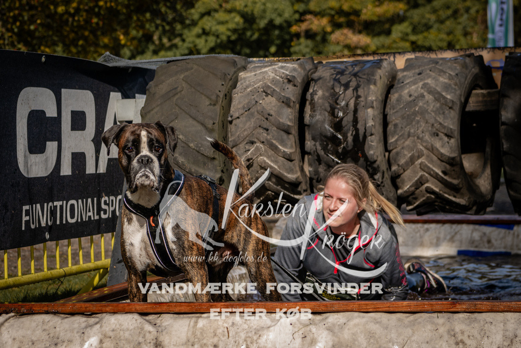 1304_ZZ91810 | kk-dogfotos