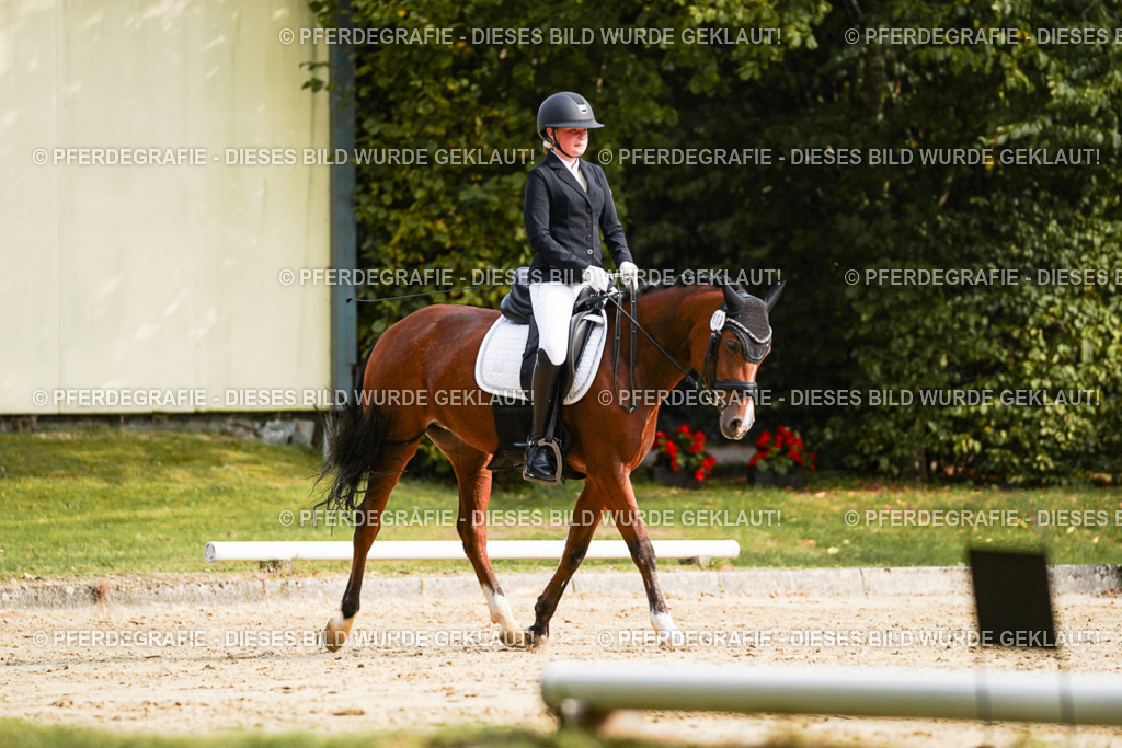 DSC04493 | Pferdegrafie