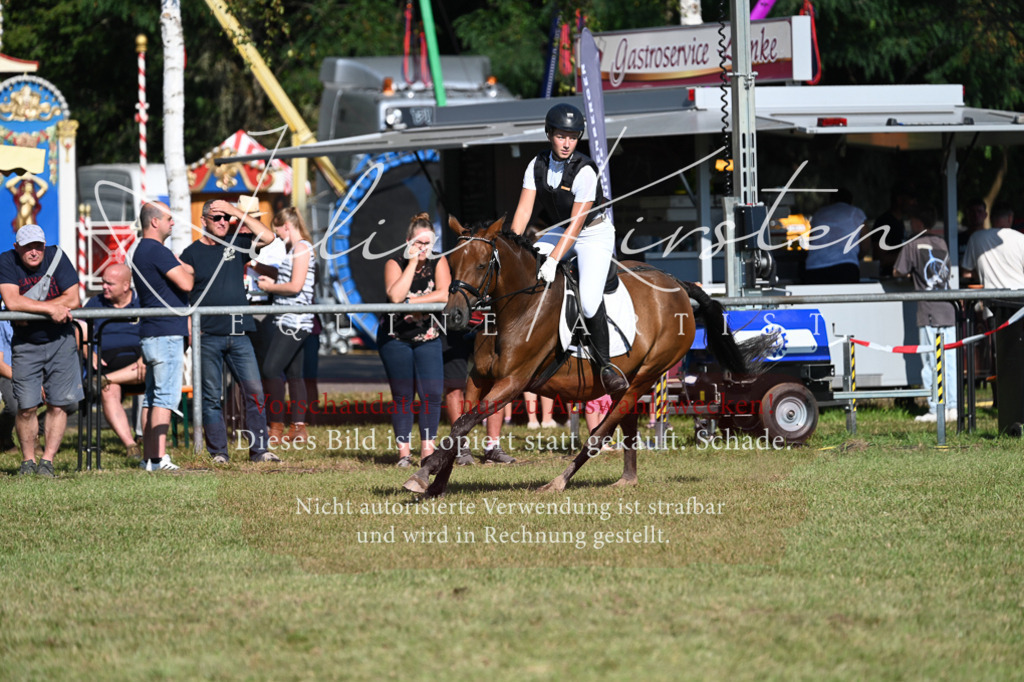 DSC_5314 | Pferde- und Turnierfotografie in Westsachsen. Pferdeportraits, Auftragszeichnungen und intuitive Kunst.
