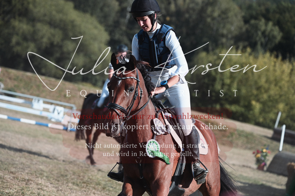 DSC_8903 | Pferde- und Turnierfotografie in Westsachsen. Pferdeportraits, Auftragszeichnungen und intuitive Kunst.