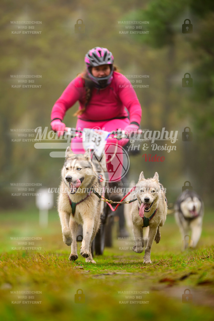 MompixPhotography_Bischwiller2025_Bike-148 | mompixphotography
