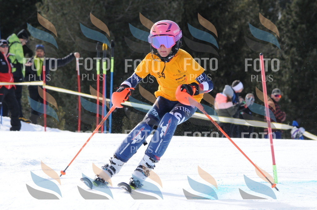 C7313 | holidayphoto