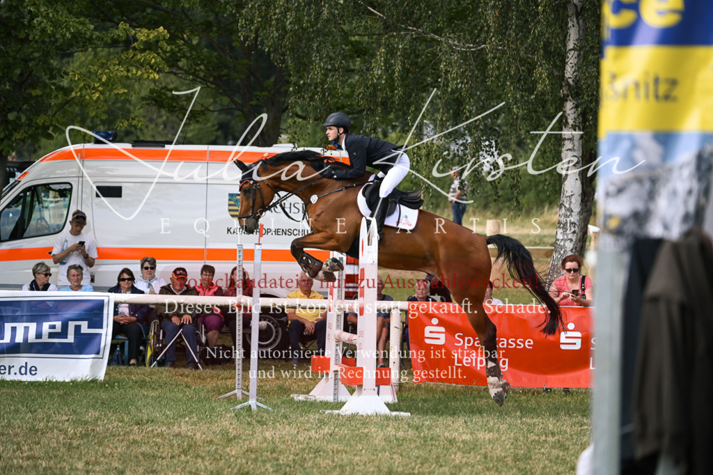 DSC_0989 | Pferde- und Turnierfotografie in Westsachsen. Pferdeportraits, Auftragszeichnungen und intuitive Kunst.