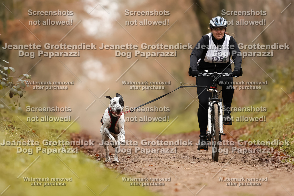 Dog Paparazzi - Speedhunter Mannheim  2025-347 | Dog Paparazzi Jeanette Grottendiek Fotografie & Videografie