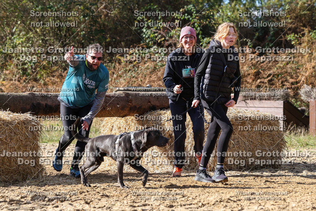 Dog Paparazzi - Strongdog 10-25-4864 | Dog Paparazzi Jeanette Grottendiek Fotografie & Videografie - Realisiert mit Pictrs.com