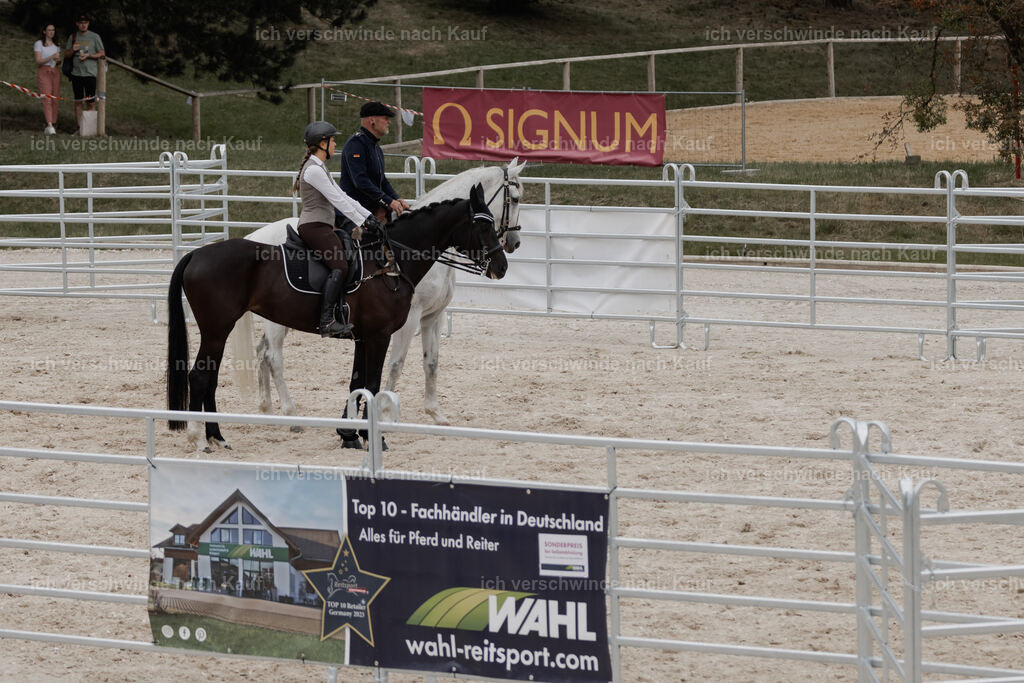 WE__Stoib_Rinder_PI2025_3198 | Pferd International München 2025