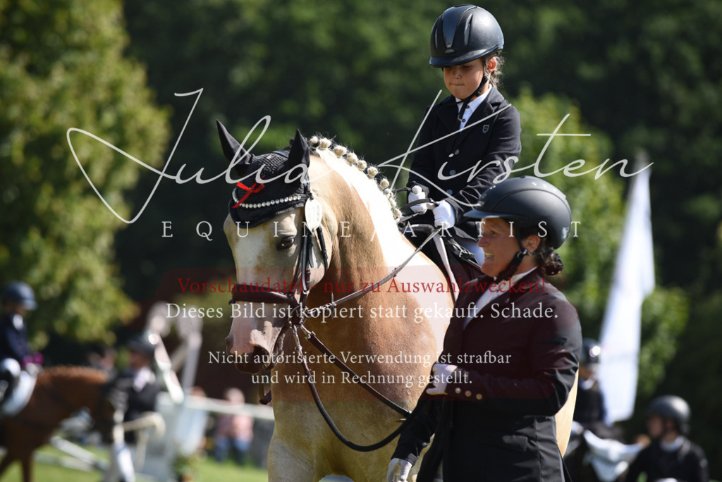 DSC_9857 | Pferde- und Turnierfotografie in Westsachsen. Pferdeportraits, Auftragszeichnungen und intuitive Kunst.