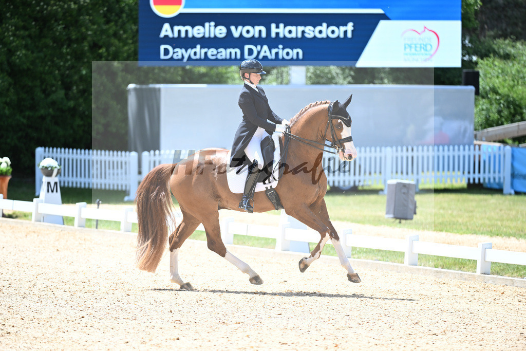 Harsdorf_Daydream d Arion_11252900 | hf-fotografie - Realisiert mit Pictrs.com