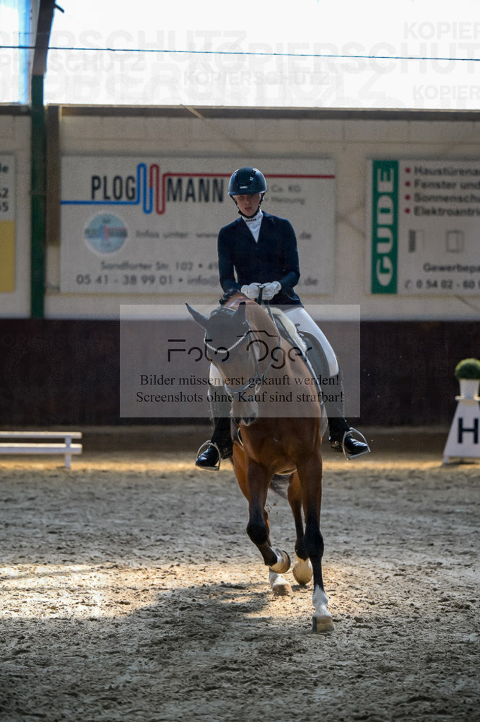 Reitturnier Voxtrup | Entdecke hochwertige Reitturnierfotos von Foto Oger. Professionell, emotional und authentisch – jetzt Lieblingsmomente im Shop bestellen.Deutschlandweite Turnierfotografie. - Realisiert mit Pictrs.com