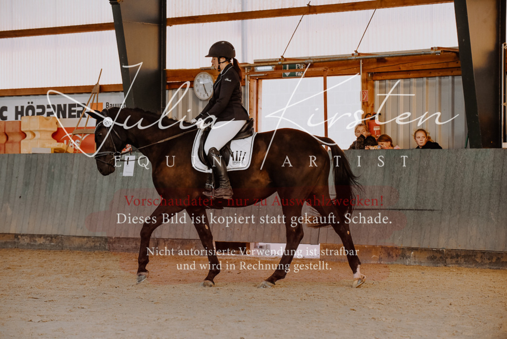 DSC_7576 | Pferde- und Turnierfotografie in Westsachsen. Pferdeportraits, Auftragszeichnungen und intuitive Kunst.