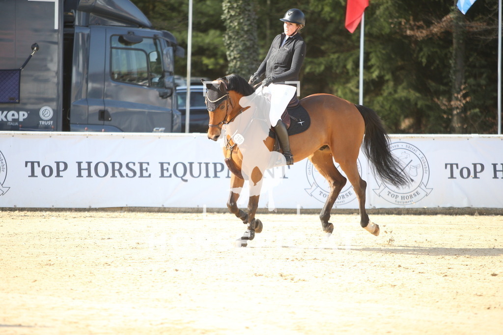 AS8V5585 | Willkommen bei Brunnmayr - Design & Fotografie – Ihrem Spezialisten für Reitturniere und Pferdeveranstaltungen in Oberösterreich, Salzburg und Bayern! Seit über 17 Jahren sind wir leidenschaftlich dabei.