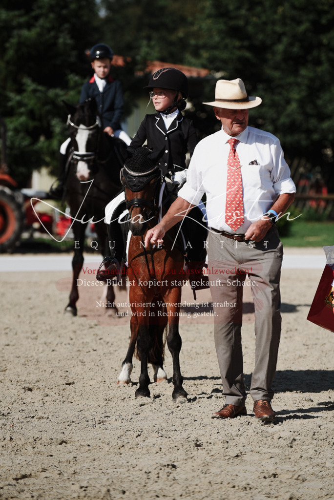DSC_0202 | Pferde- und Turnierfotografie in Westsachsen. Pferdeportraits, Auftragszeichnungen und intuitive Kunst.