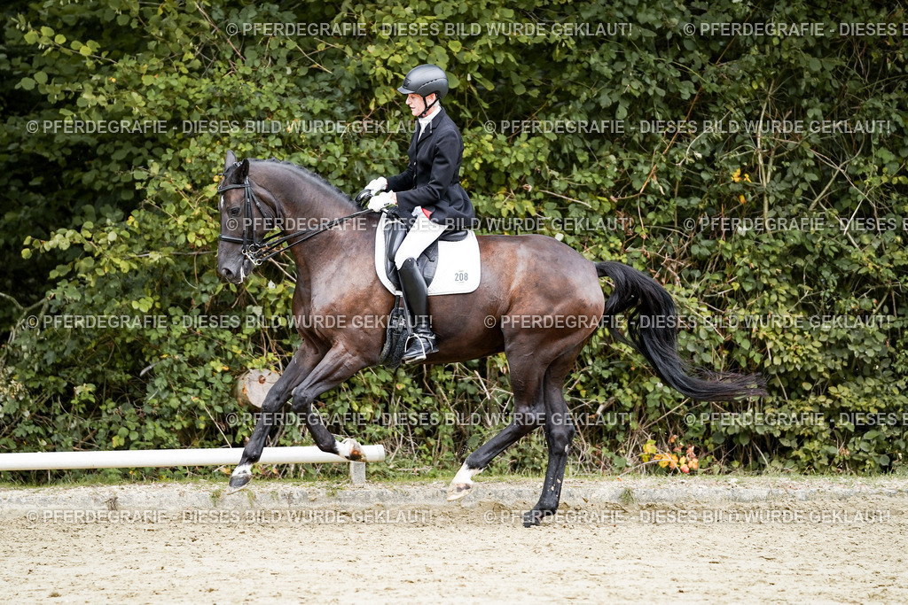 DSC05895 | Pferdegrafie