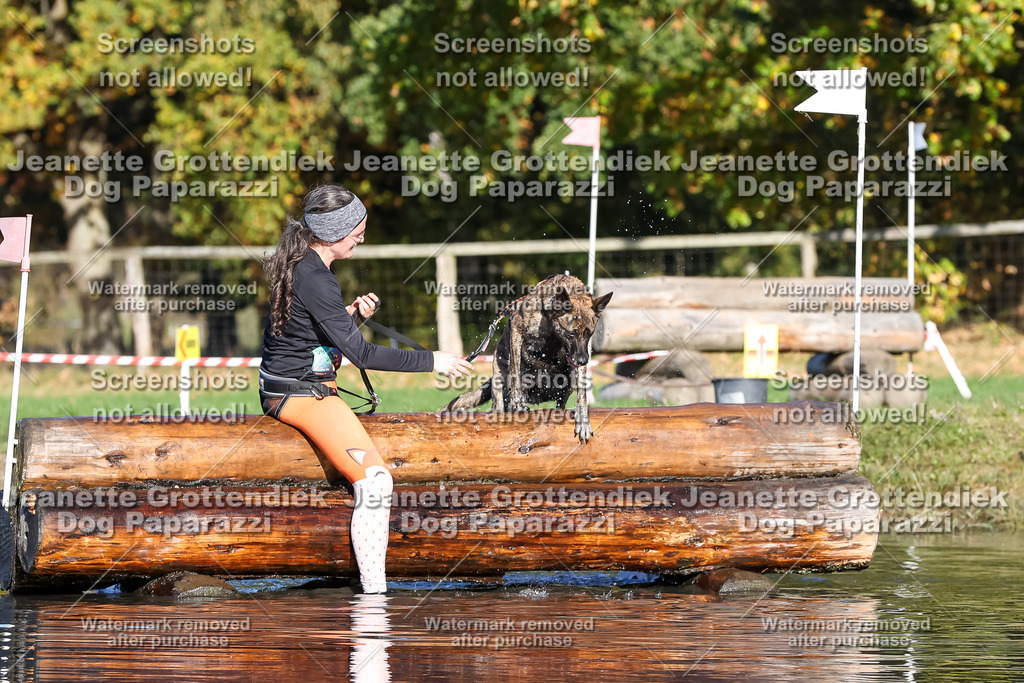 Dog Paparazzi - Strongdog 10-25-8716 | Dog Paparazzi Jeanette Grottendiek Fotografie & Videografie - Realisiert mit Pictrs.com