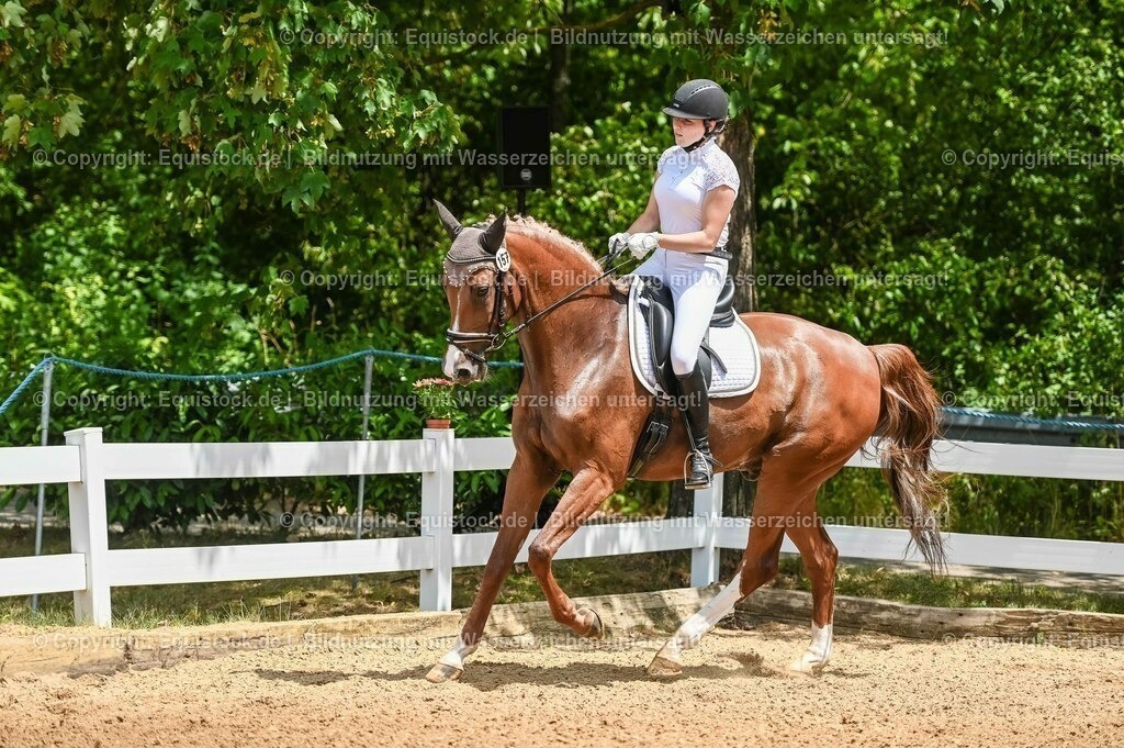 20230715_05_Dressurprüfung Kl.A++_0034 | equistock