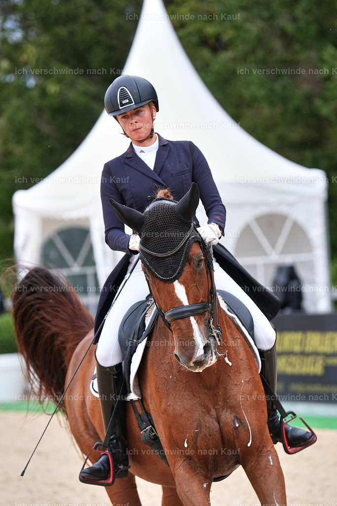 11-238-Dressur S___-Marixx-1763 | working equitationturnier fotograf videograf stoibphotography marixx film working equitation deutschland reitsport turnierfotografie eventfotografie equestrian events