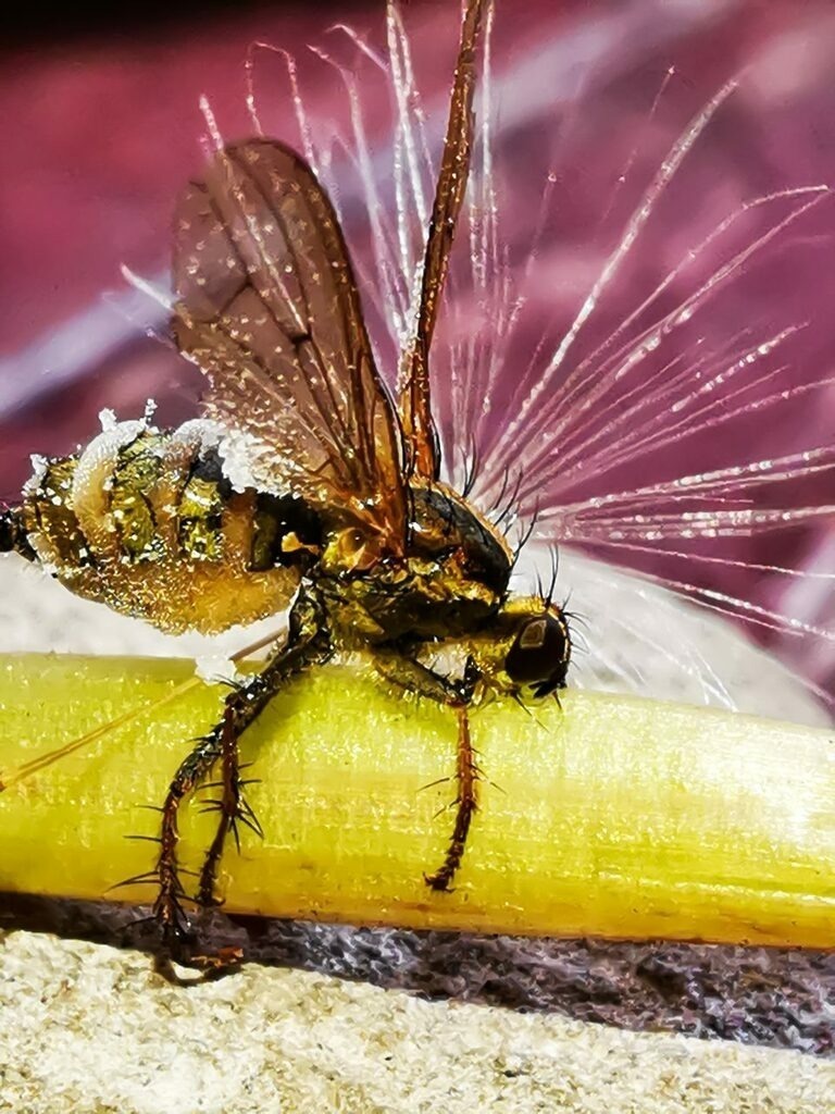 PSX_20221028_230044 | mtkfoto_ - Realisiert mit Pictrs.com