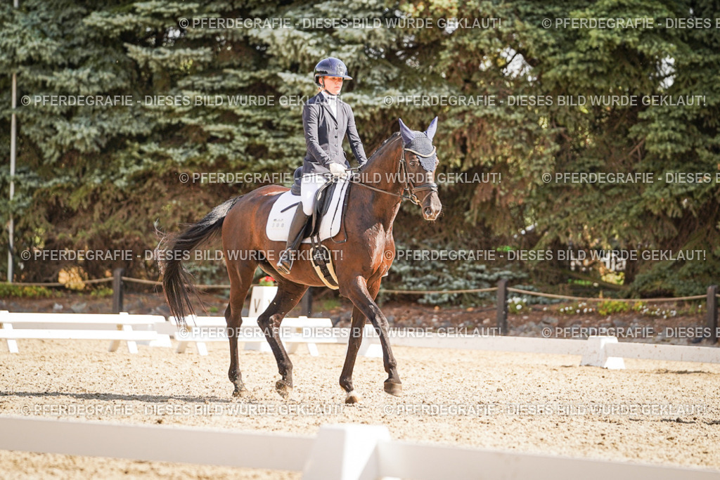 DSC00815 | Pferdegrafie