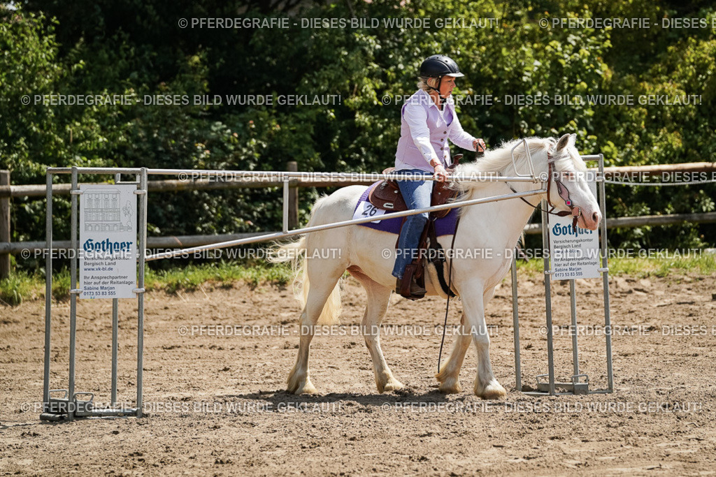 DSC07233 | Pferdegrafie