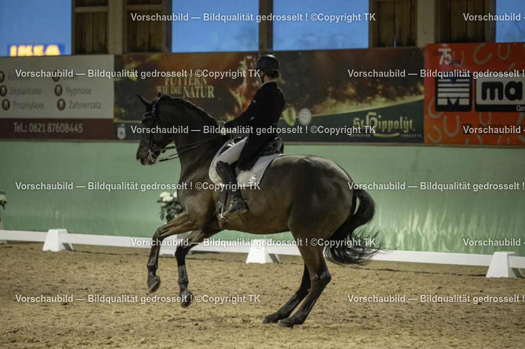 _D5A7459 | Emotionale Pferde- & People-Fotografie rund um Heidelberg, Leimen & Umgebung. Natürliche Fotos von Pferd, Mensch & Familie. Jetzt Termin sichern!