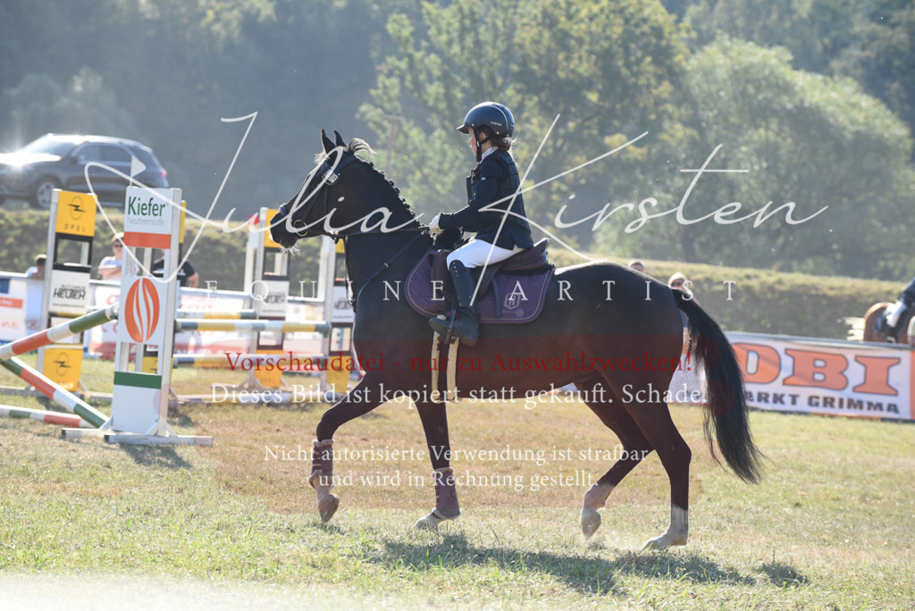 DSC_5702 | Pferde- und Turnierfotografie in Westsachsen. Pferdeportraits, Auftragszeichnungen und intuitive Kunst.