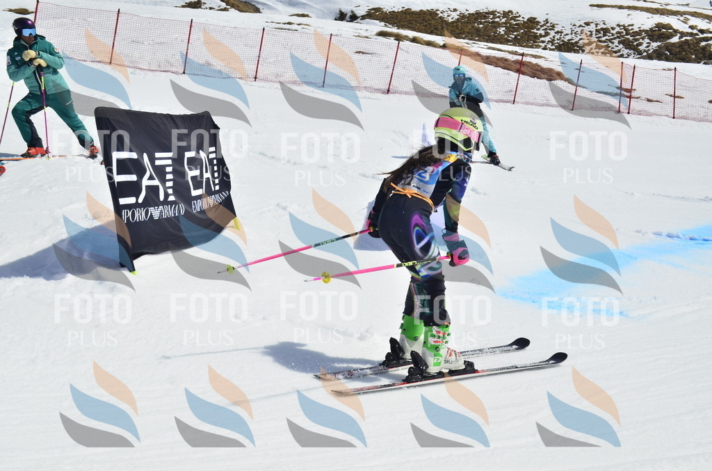 _ELE1233 | holidayphoto