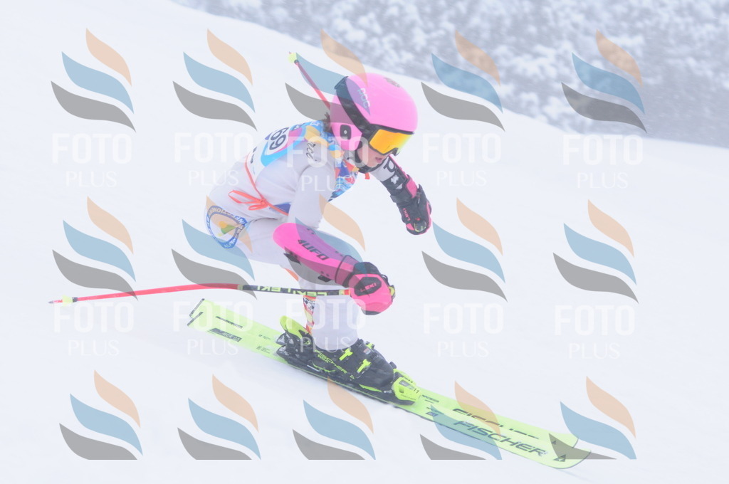 C1983 | holidayphoto