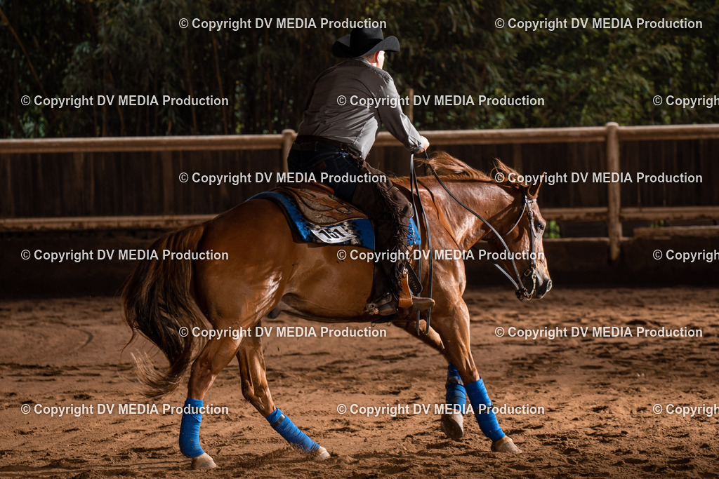 Erbach Tag 2-826 | dv-media-shop - Realisiert mit Pictrs.com