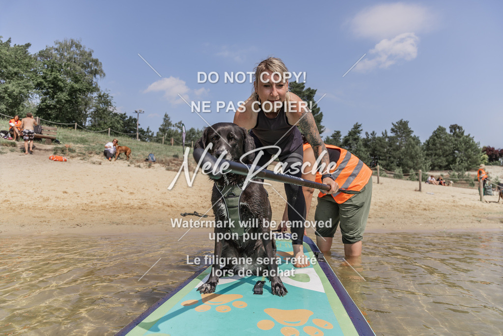 BUHU_SUP_601 | nelerasche