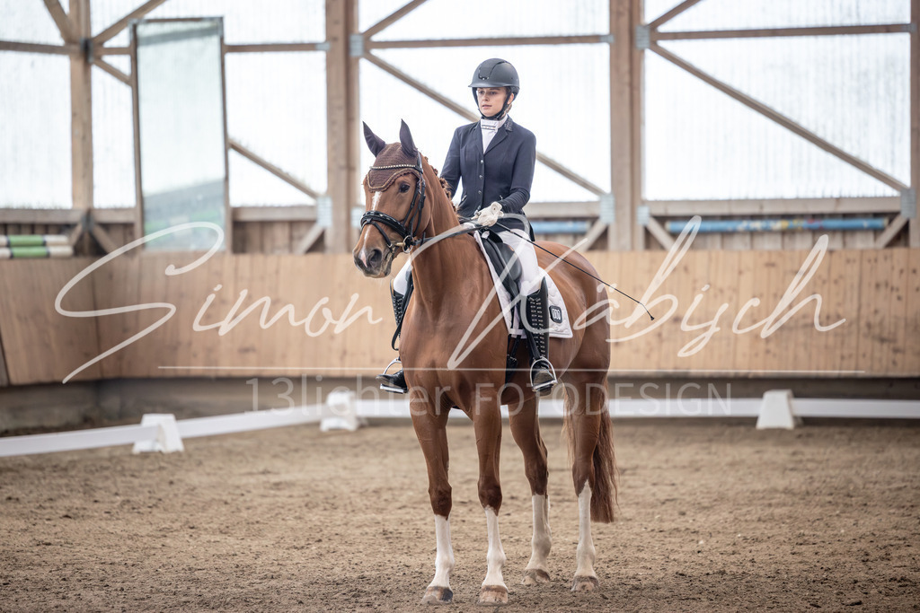 20251011-_3LI0043 | Tierfotografie Pferde, Hunde, Katzen, Haustiere.
Turnierfotografie Reitturniere, Reiten, Springreiten, Dressur in Hanau, dem Main-Kinzig-Kreis und dem Rhein-Main- Gebiet um Frankfurt